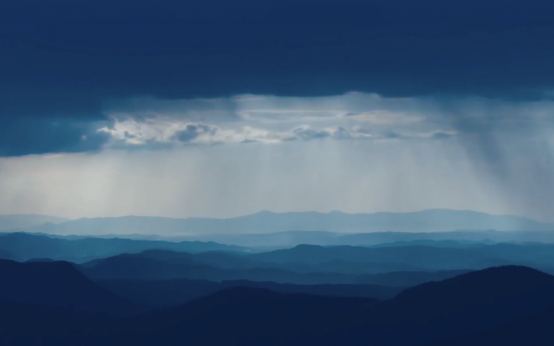 Announcing our new Executive Director