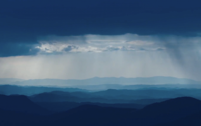 Announcing our new Executive Director