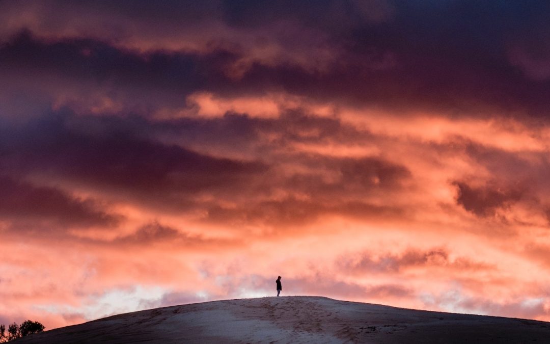 How do I make my school carbon neutral?