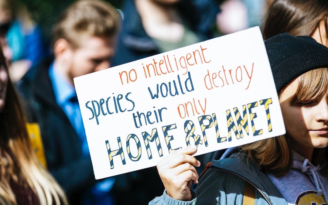 How can a student prevent climate change?