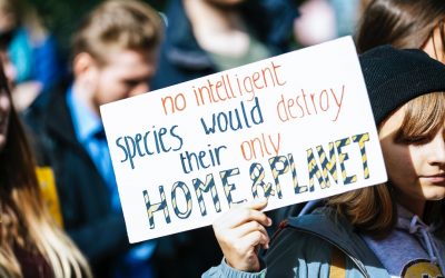 How can a student prevent climate change?