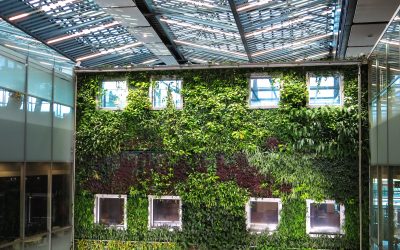 School Sustainability Leader Certification