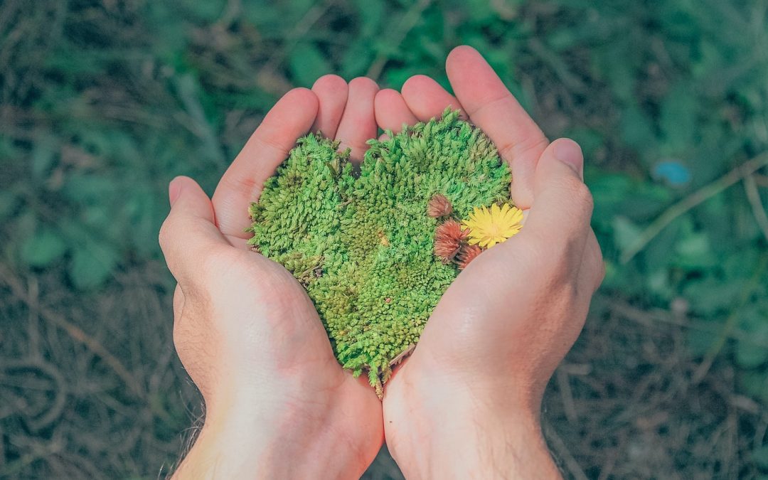 Facility operations & development as a vehicle for positive change