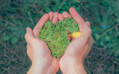 Facility operations & development as a vehicle for positive change