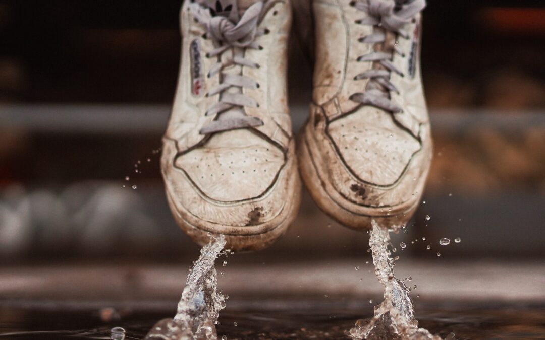 No. 32: Install a greywater recycling system for irrigation