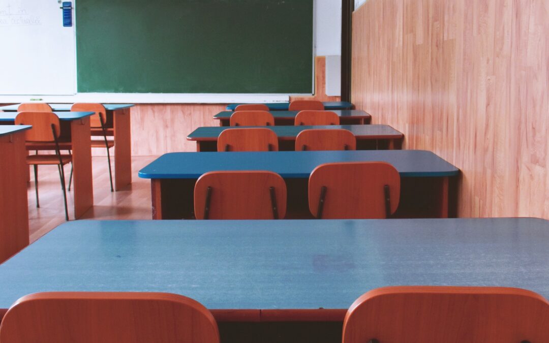 No. 58: Invest in sustainable furniture options